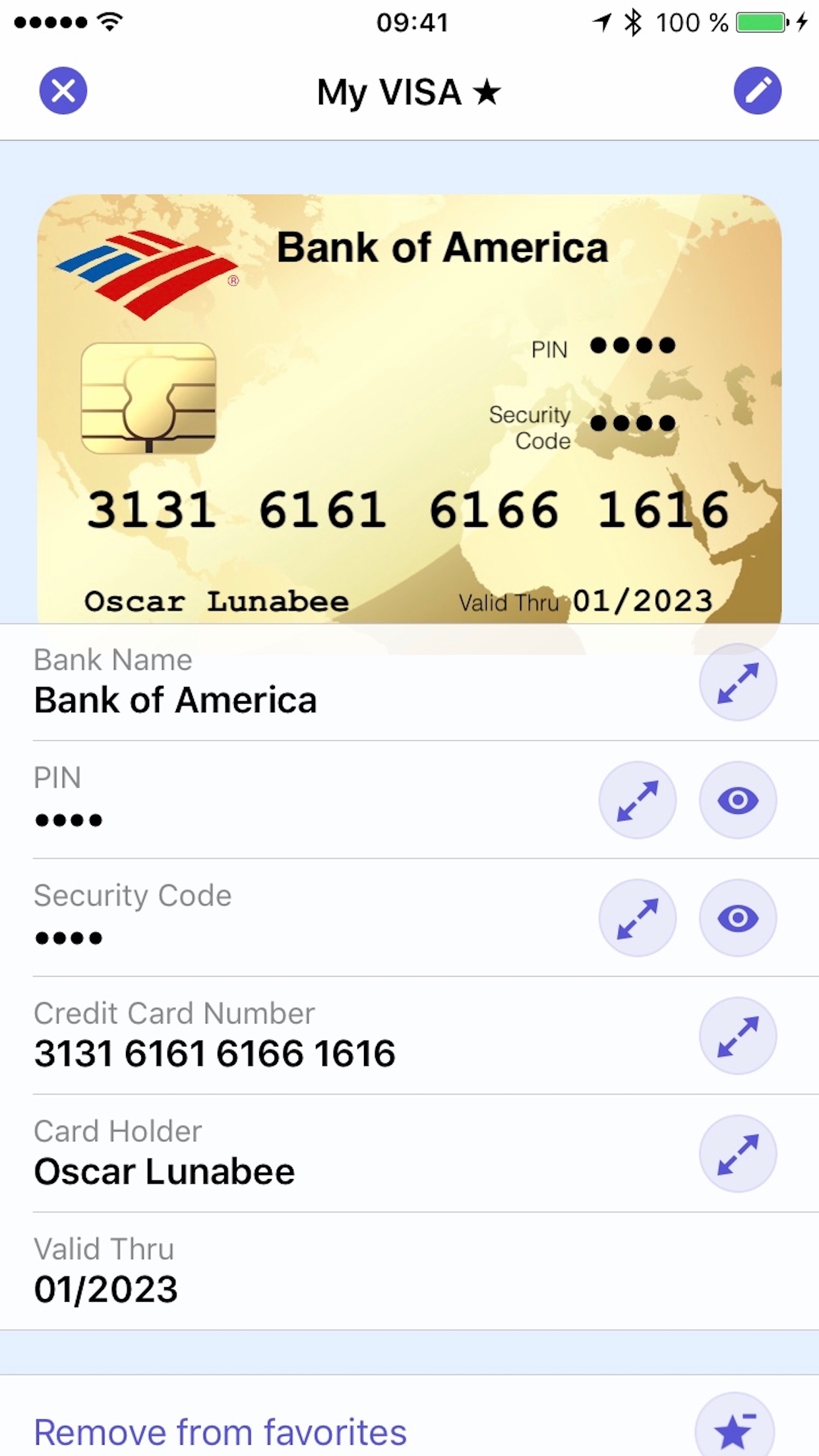 screenshot of oneSafe card details
